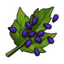 File:Item SacredGrapeSeed.png