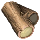 File:Item HallowWood.png