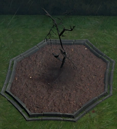 File:Gloomy Sapling Planted.png