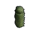 File:Structure HedgeTallRoundColumnw.Sphere.png