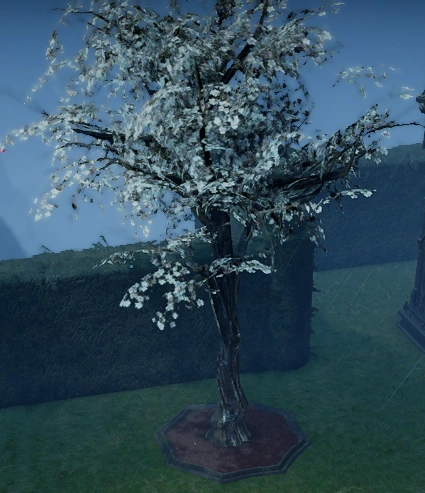 File:White Cherry Blossom Full Grown in Castle.png