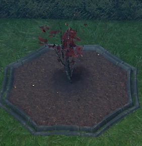 File:Autumn Aspen Sapling Planted.png