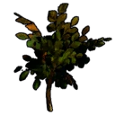 File:Item CursedSapling.png