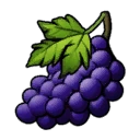 File:Item SacredGrapes.png
