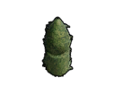 File:Structure HedgeLowRoundColumnw.Droplet.png