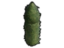 File:Structure HedgeTallRoundColumnw.Droplet.png
