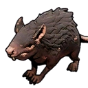 File:Item Rat.png