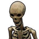File:Item Skeleton.png