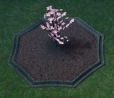 File:Cherry Blossom Sapling Planted.png