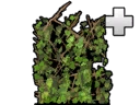 File:Structure Ivy.png