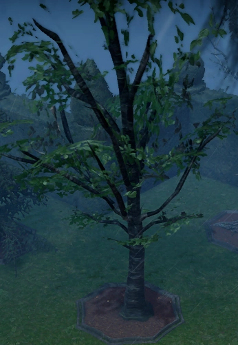 File:Aspen Fully Grown in Castle.png