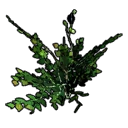 File:Item BirchSapling.png