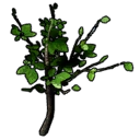 File:Item AspenSapling.png