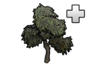 File:Structure WeepingFigPlant.png