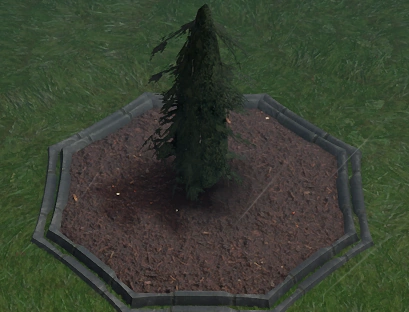 File:Cypress Sapling Planted.png