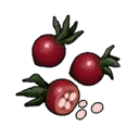 File:Item BloodRoseSeed.png