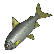 File:Item TheFish.png
