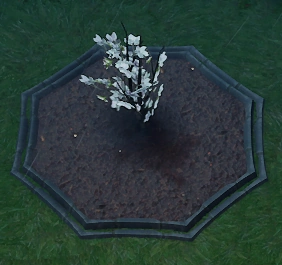 File:White Cherry Blossom Planted.png