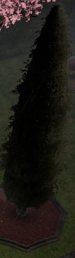File:Cypress Planted in Castle.png