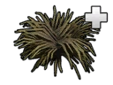 File:Structure SpiderPlant.png