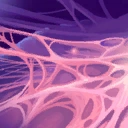 File:Buff Spiderweb.png