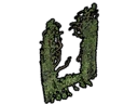 File:Structure CastleWindowGrowthIvy.png