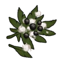 File:Item CottonSeed.png