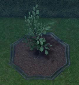 File:Apple Tree Sapling Planted.png