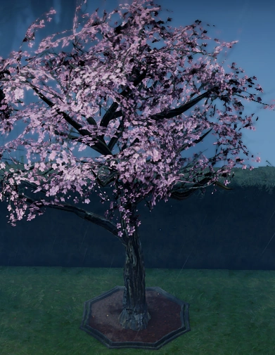 File:Cherry Blossom Fully Grown in Castle.png