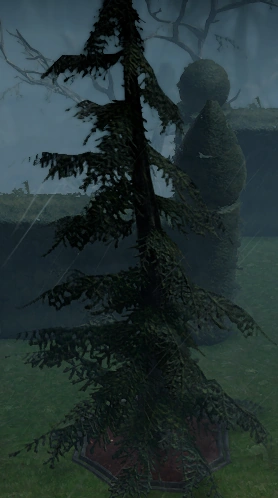 File:Pine Tree Full Grown in Castle.png