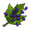 Sacred Grape Seed