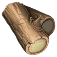 Hallow Wood