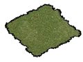 Grass