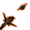 The Thousand Storms Shard