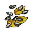 Sunflower Seed