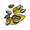 Sunflower Seed