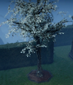 A White Cherry Blossom Tree when fully grown in a player owned castle.