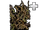 Morass
