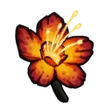 Fire Blossom