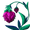 Bleeding Heart