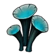 Ghost Shroom
