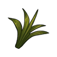 Plant Fibre