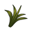 Plant Fibre