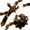 The Morning Star Shard