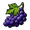 Sacred Grapes