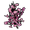 Cherry Blossom Sapling