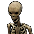 Skeleton