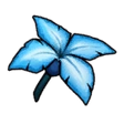 Snow Flower