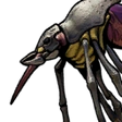 Mosquito