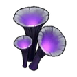 Trippy Shroom